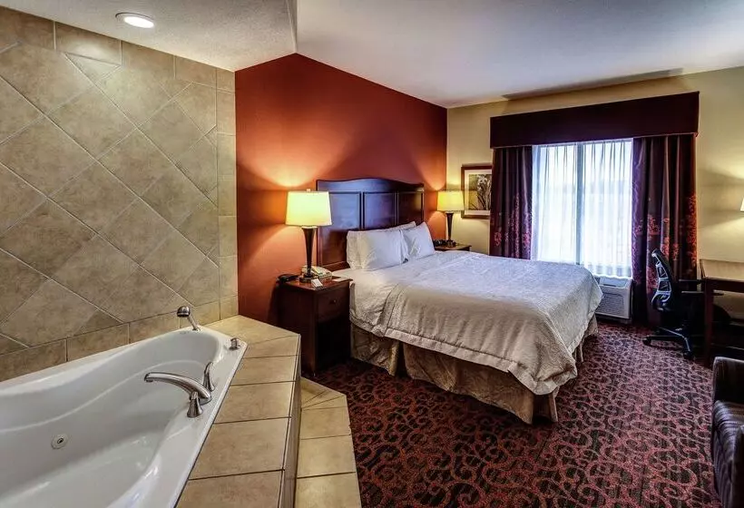 Отель Hampton Inn Junction City