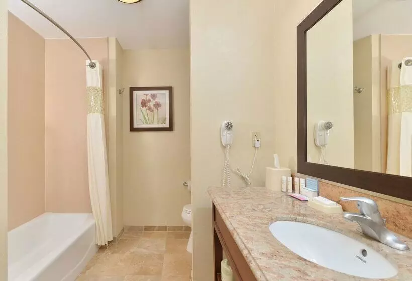 酒店 Hampton Inn Muscatine