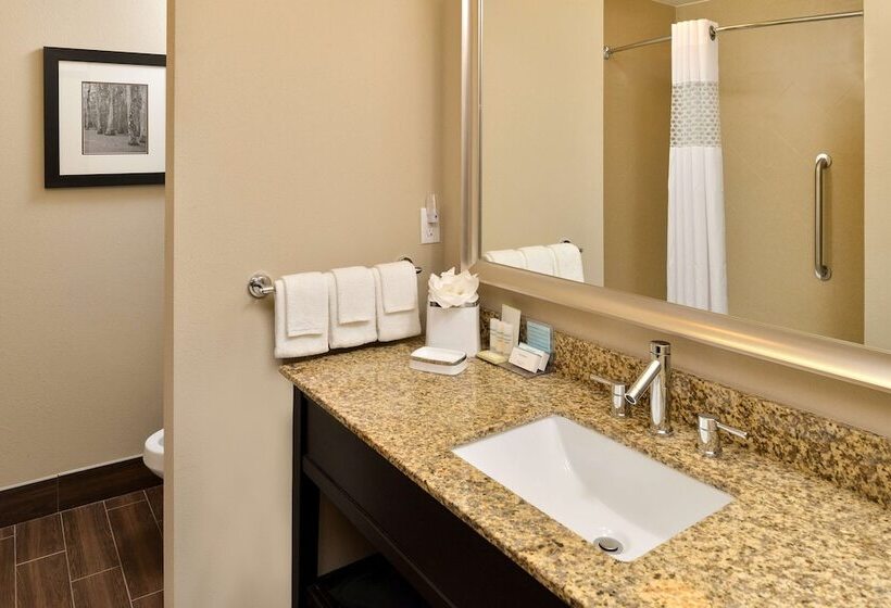 호텔 Hampton Inn & Suites Harvey/new Orleans West Bank