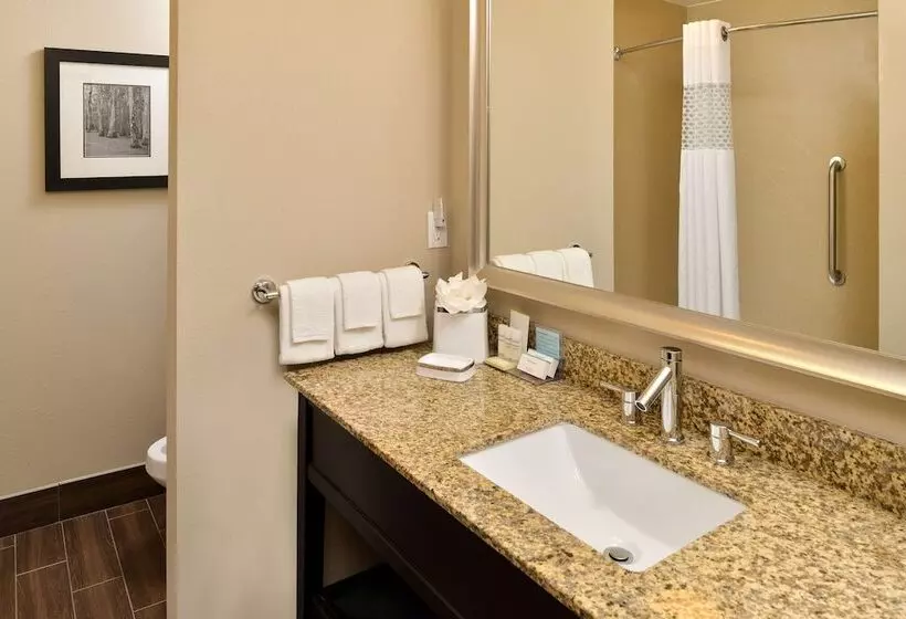 酒店 Hampton Inn & Suites Harvey/new Orleans West Bank