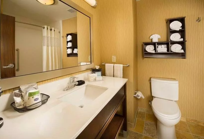 Отель Hampton Inn Temple