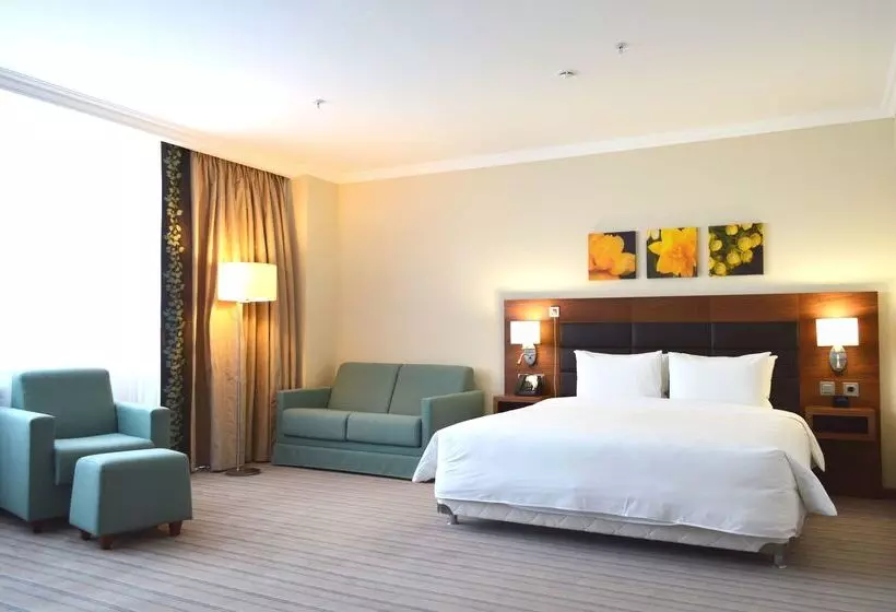 ホテル Hilton Garden Inn Krasnoyarsk
