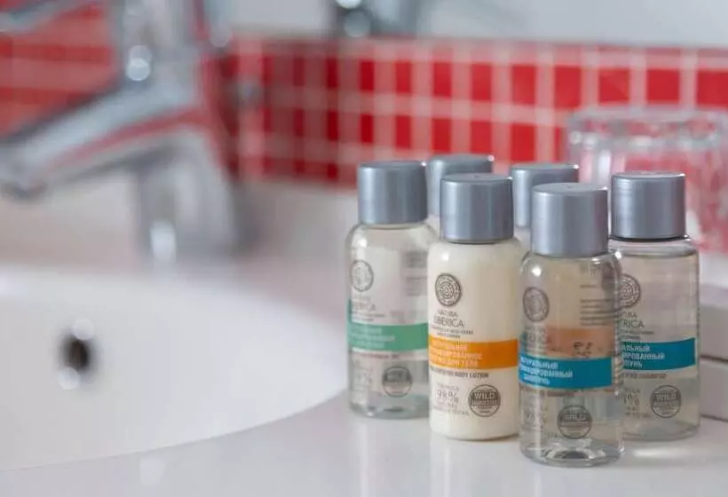 ホテル Ibis Moscow Centre Bakhrushina