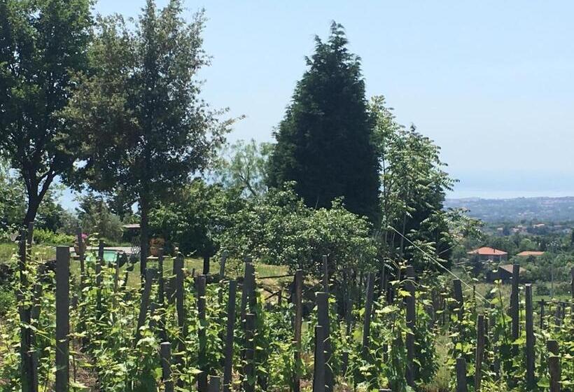 Alberto S Mt.etna B&b