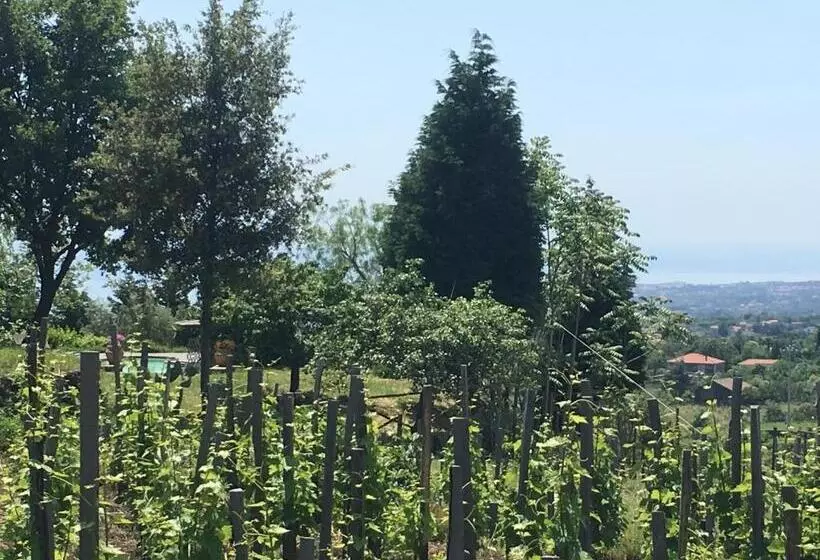 Alberto S Mt.etna B&b