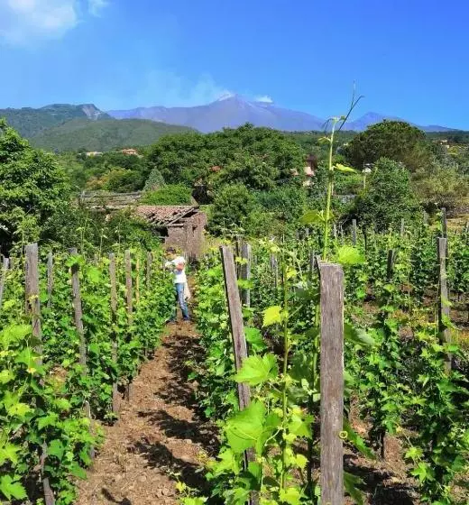 Alberto S Mt.etna B&b