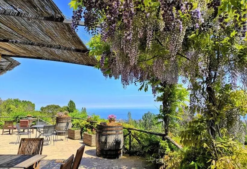 Alberto S Mt.etna B&b