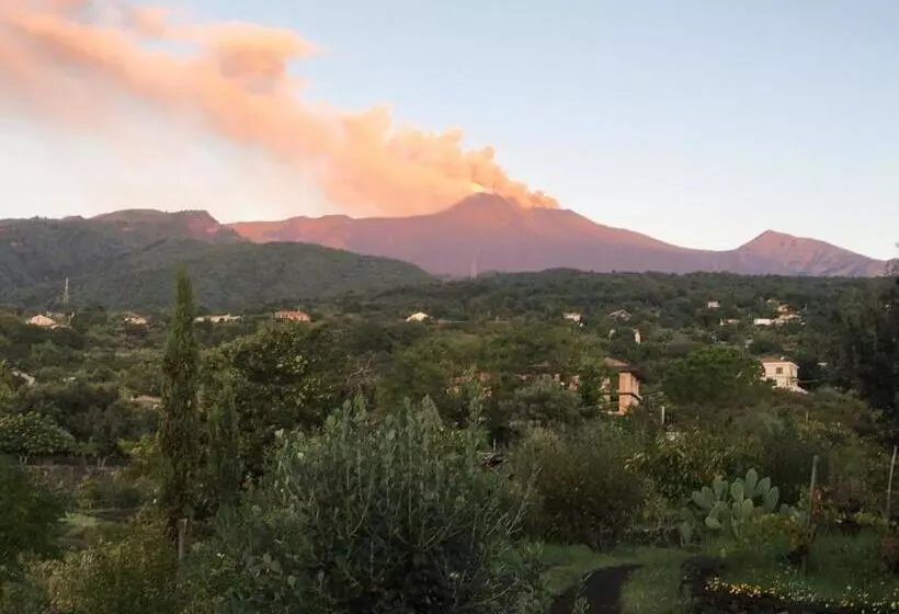Alberto S Mt.etna B&b