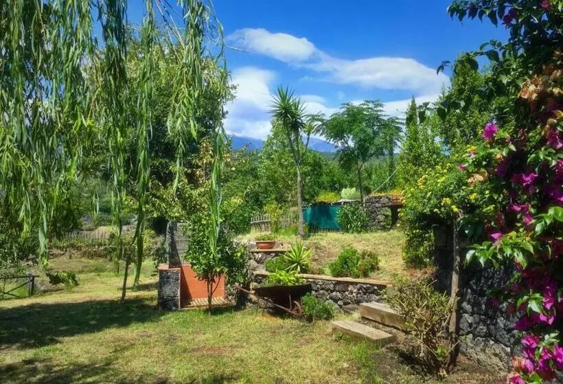 Alberto S Mt.etna B&b