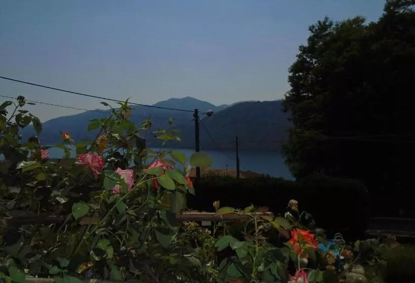 ベッドアンドブレックファースト Bellavista