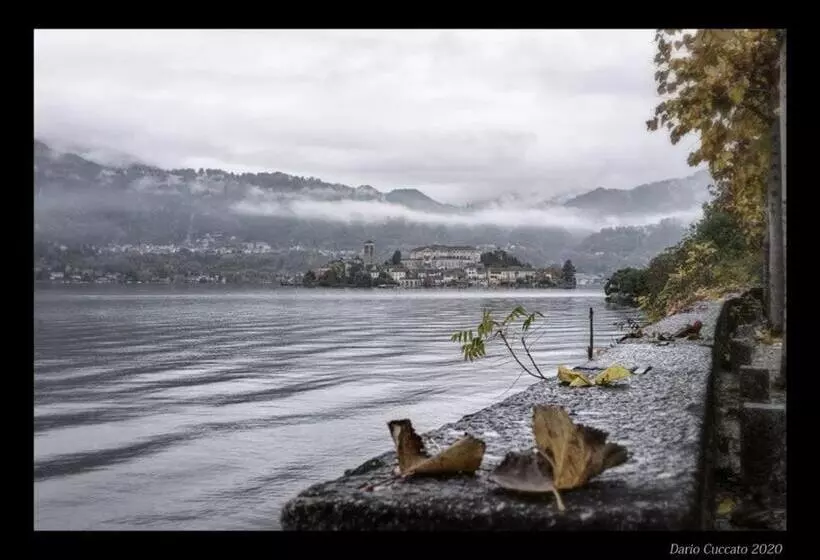 ベッドアンドブレックファースト Bellavista