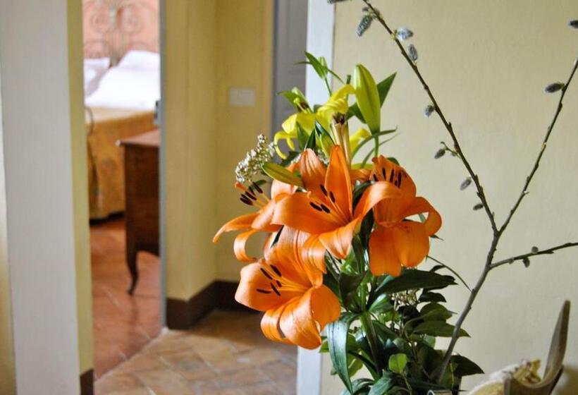 Bed and Breakfast Villa Cicolina