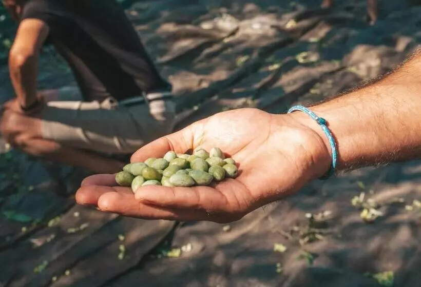 Castelli Hotel Adults Only