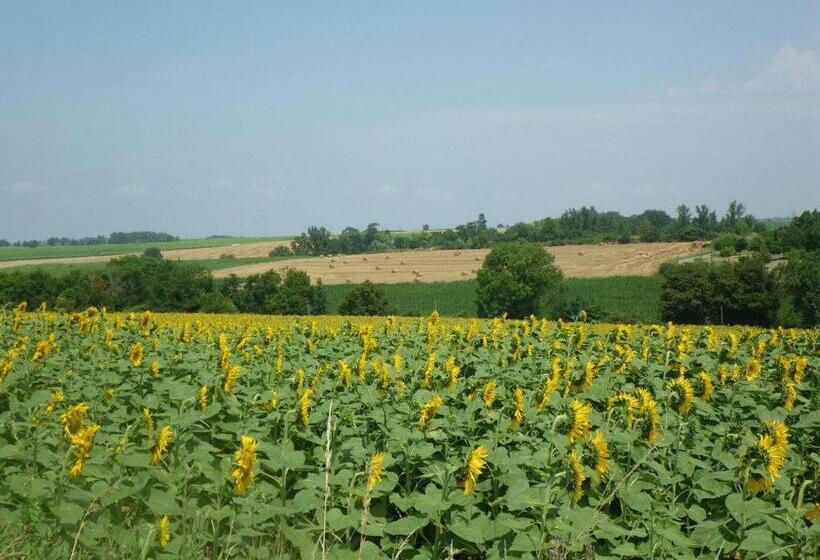 Château De Fourcès