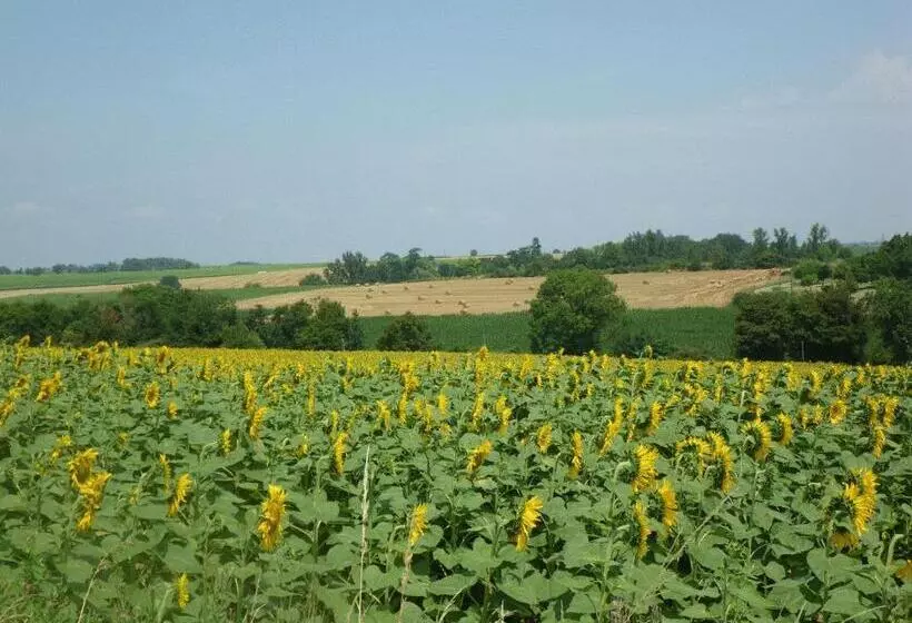 Château De Fourcès