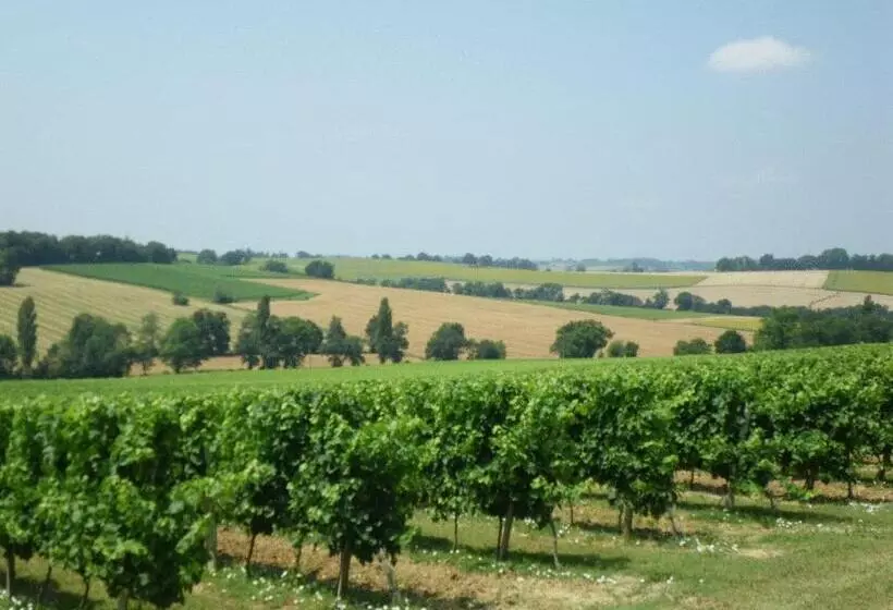 Château De Fourcès