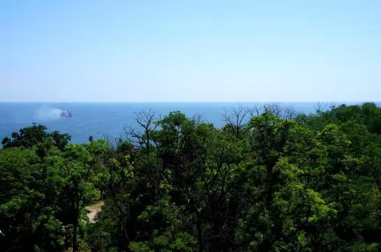 هتل Black Sea  Park Shevchenko