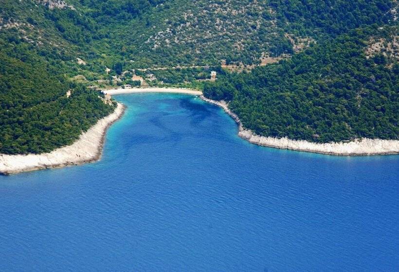 فندق Dragan S Den Hostel