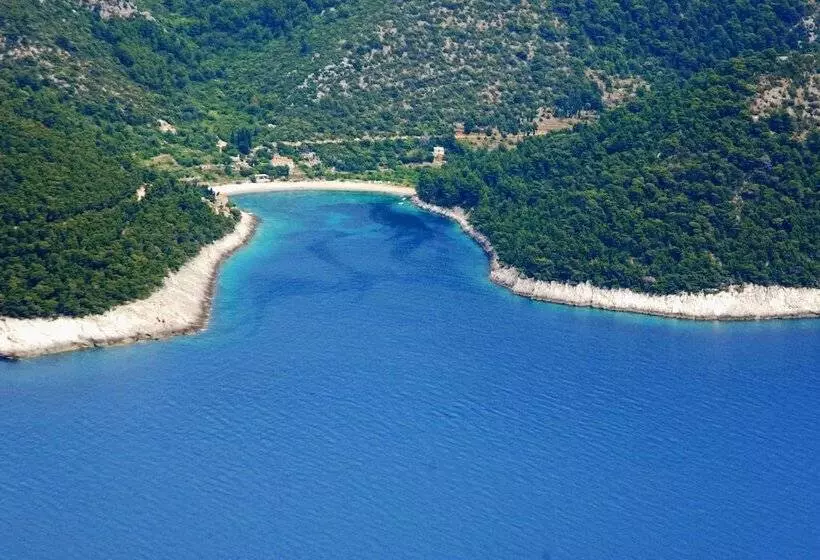 Otel Dragan S Den Hostel