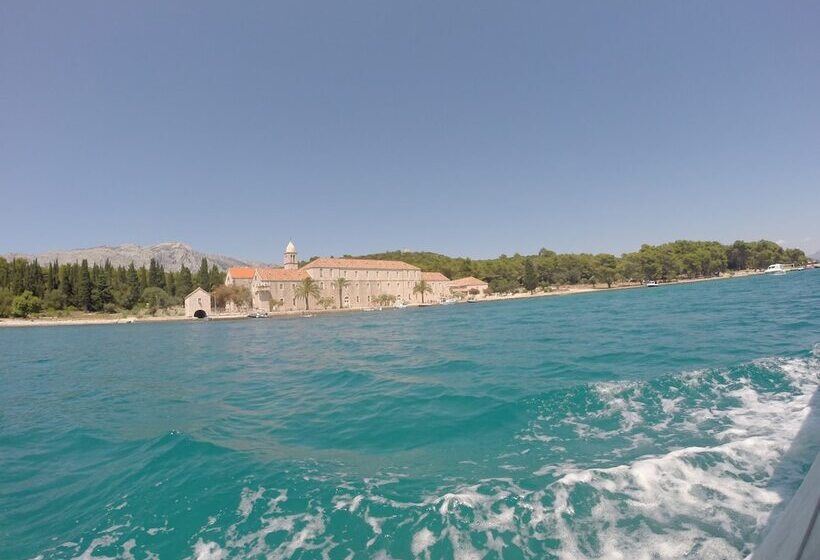 فندق Dragan S Den Hostel