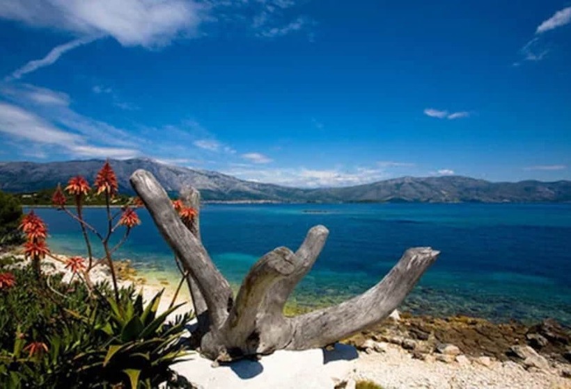 فندق Dragan S Den Hostel