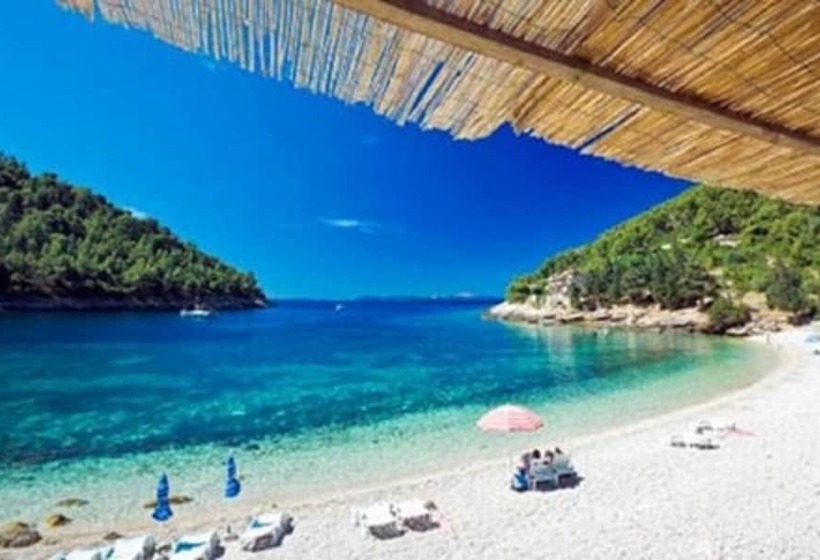 فندق Dragan S Den Hostel