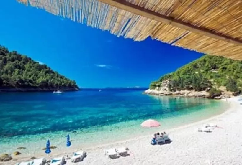 Otel Dragan S Den Hostel