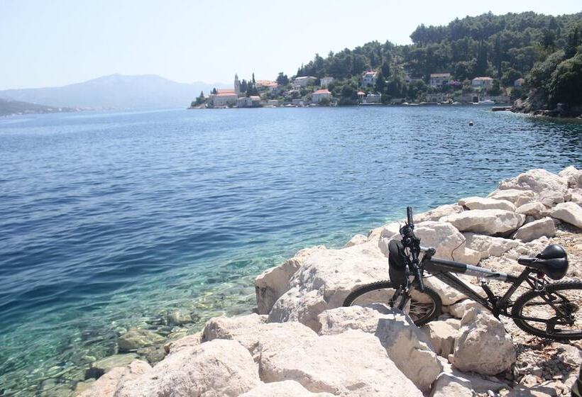 فندق Dragan S Den Hostel