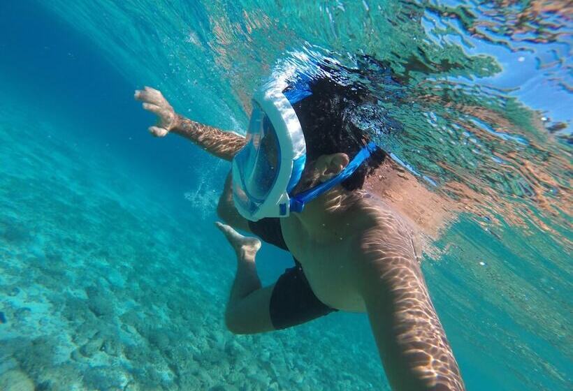 فندق Dragan S Den Hostel