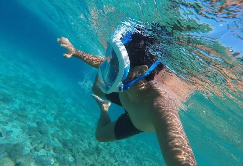 Otel Dragan S Den Hostel