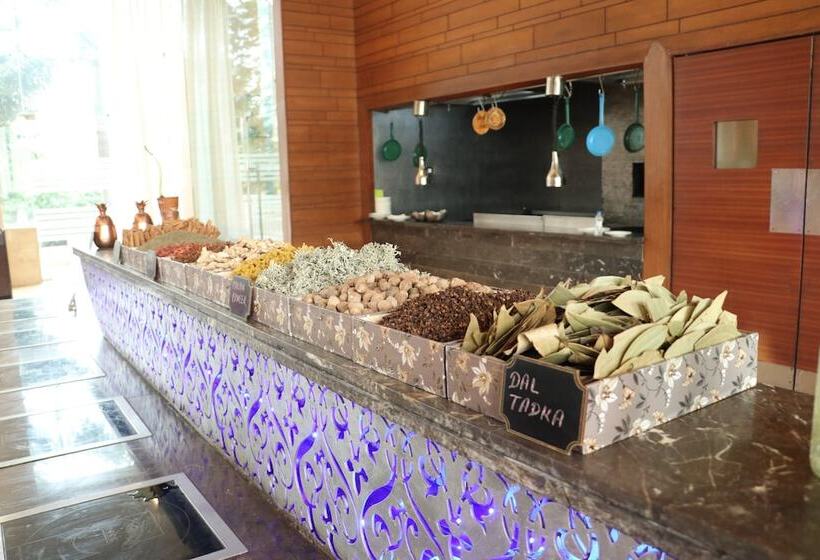 酒店 Holiday Inn Chandigarh Panchkula, An Ihg