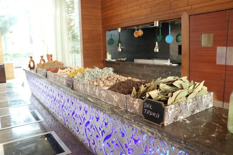 هتل Holiday Inn Chandigarh Panchkula, An Ihg
