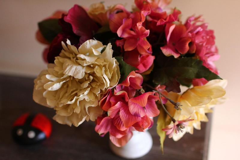 בית מלון כפרי Kira S Boutique