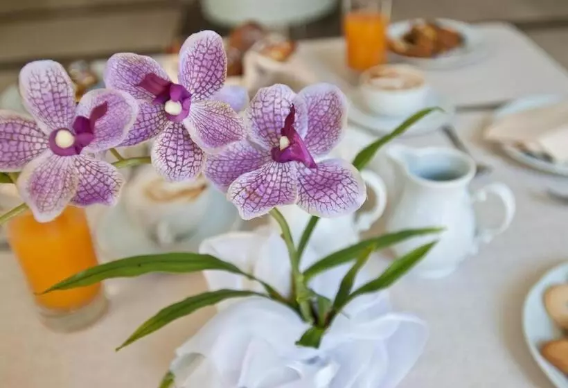 酒店 San Domenico Al Piano