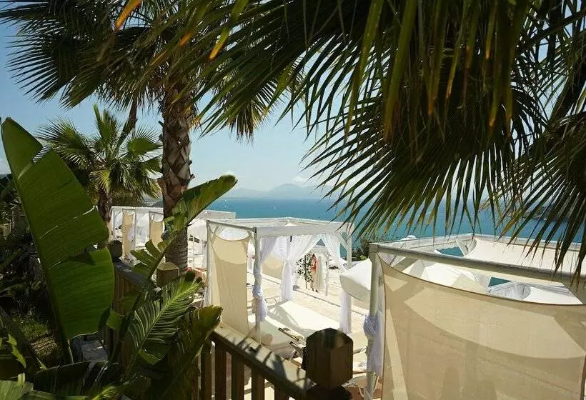 Hotel Tui Blue Seno   Adults Only