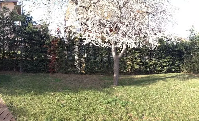 Отель Villa Cinzia