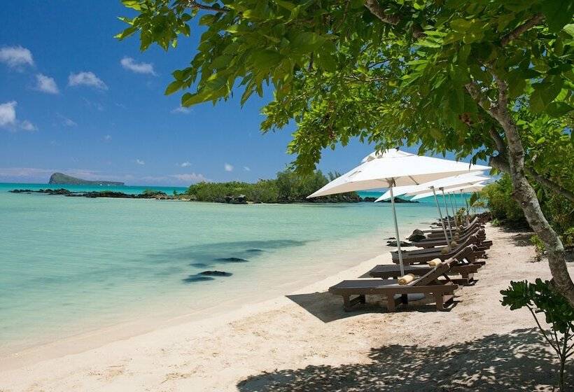 ホテル Zilwa Attitude