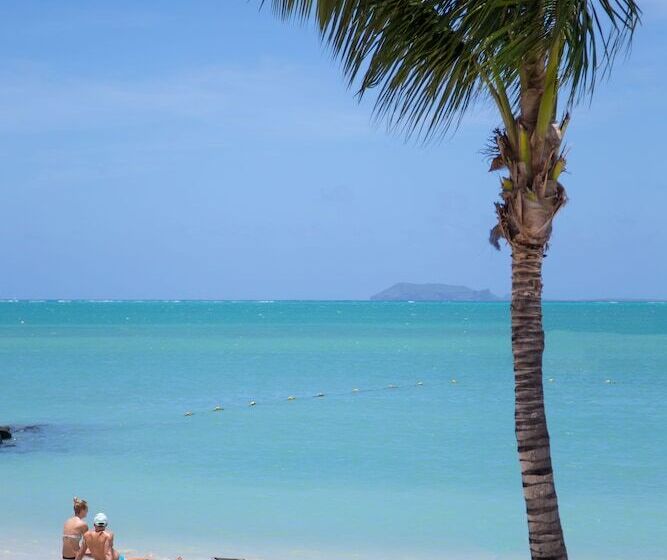 ホテル Zilwa Attitude