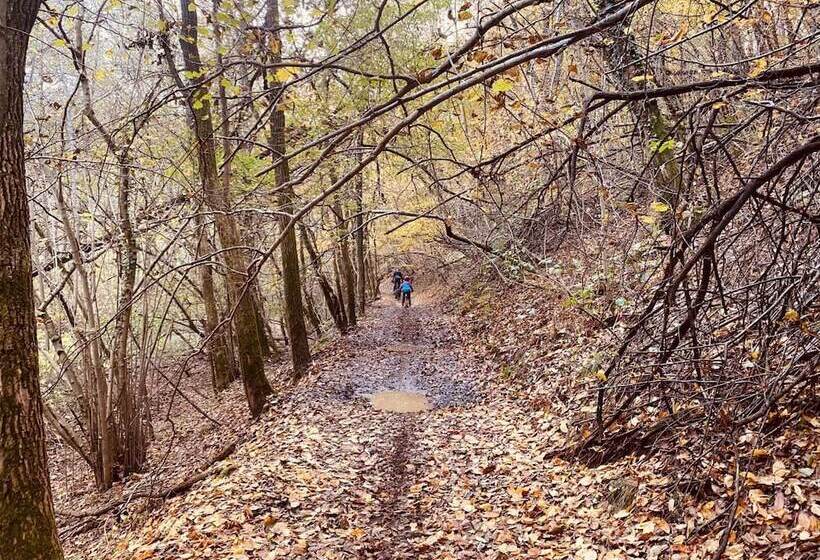 Impero Hotel Beauty & Spa   Bike