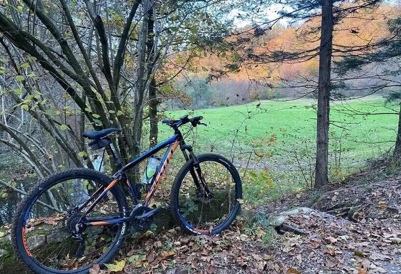 Impero Hotel Beauty & Spa   Bike