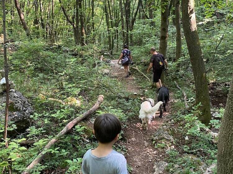 Impero Hotel Beauty & Spa   Bike