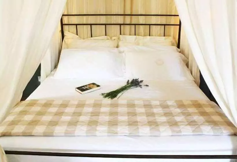 Le Radici Natura Benessere