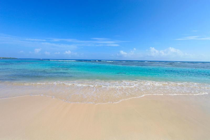 استراحتگاه Bahia Principe Grand Jamaica - All Inclusive