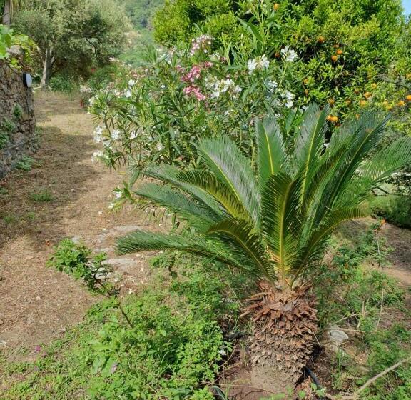 Resort Otel Borgo San Francesco