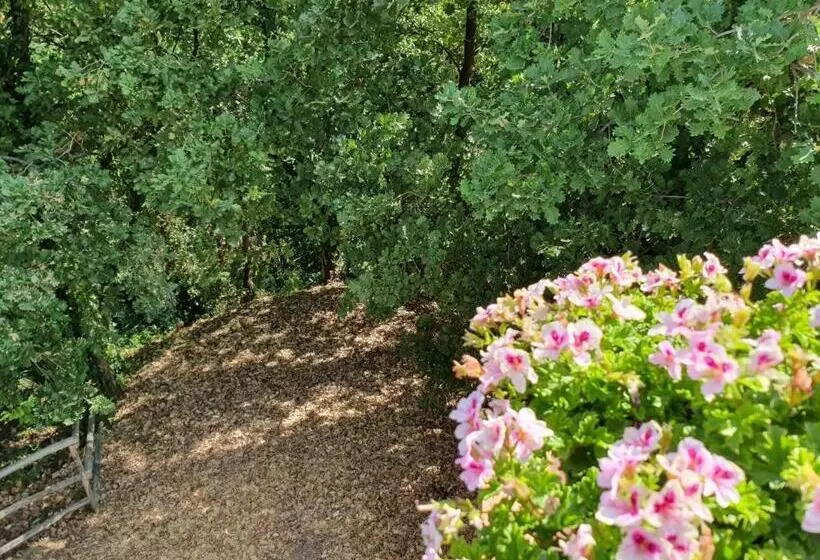 리조트 Borgo San Francesco