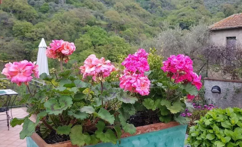 리조트 Borgo San Francesco