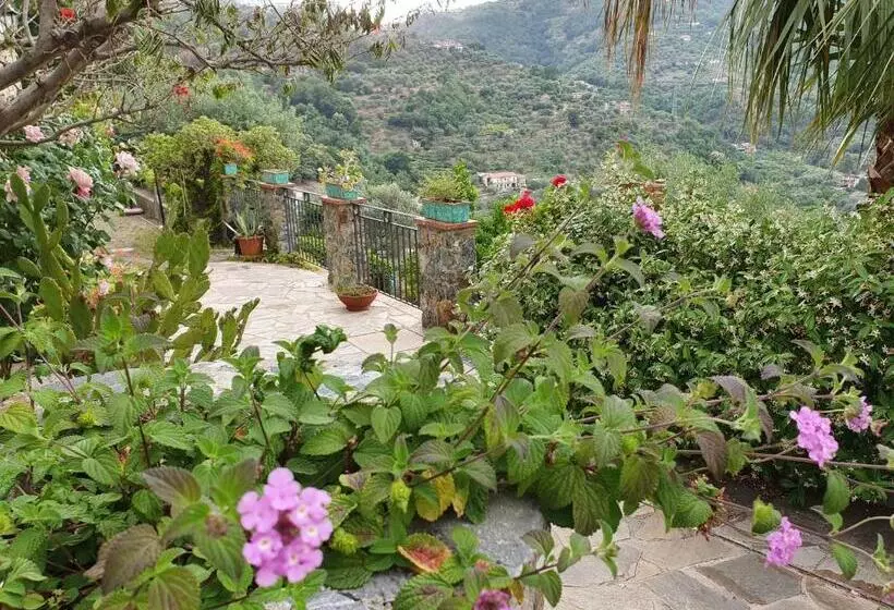 리조트 Borgo San Francesco