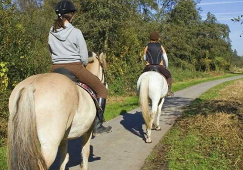 אתר נופש Guesia Village Hotel E Spa