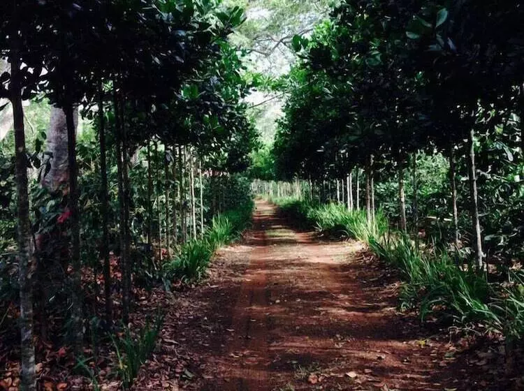 D' Santos Hotel Boutique