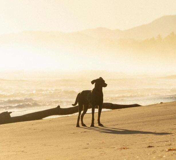 בית מלון כפרי Las Canas Beach Retreat